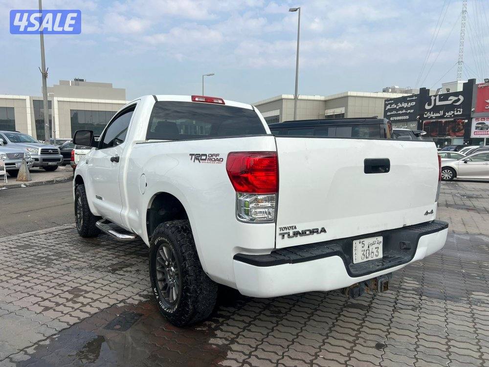 تندرا / غماره / صبغ الوكالة3