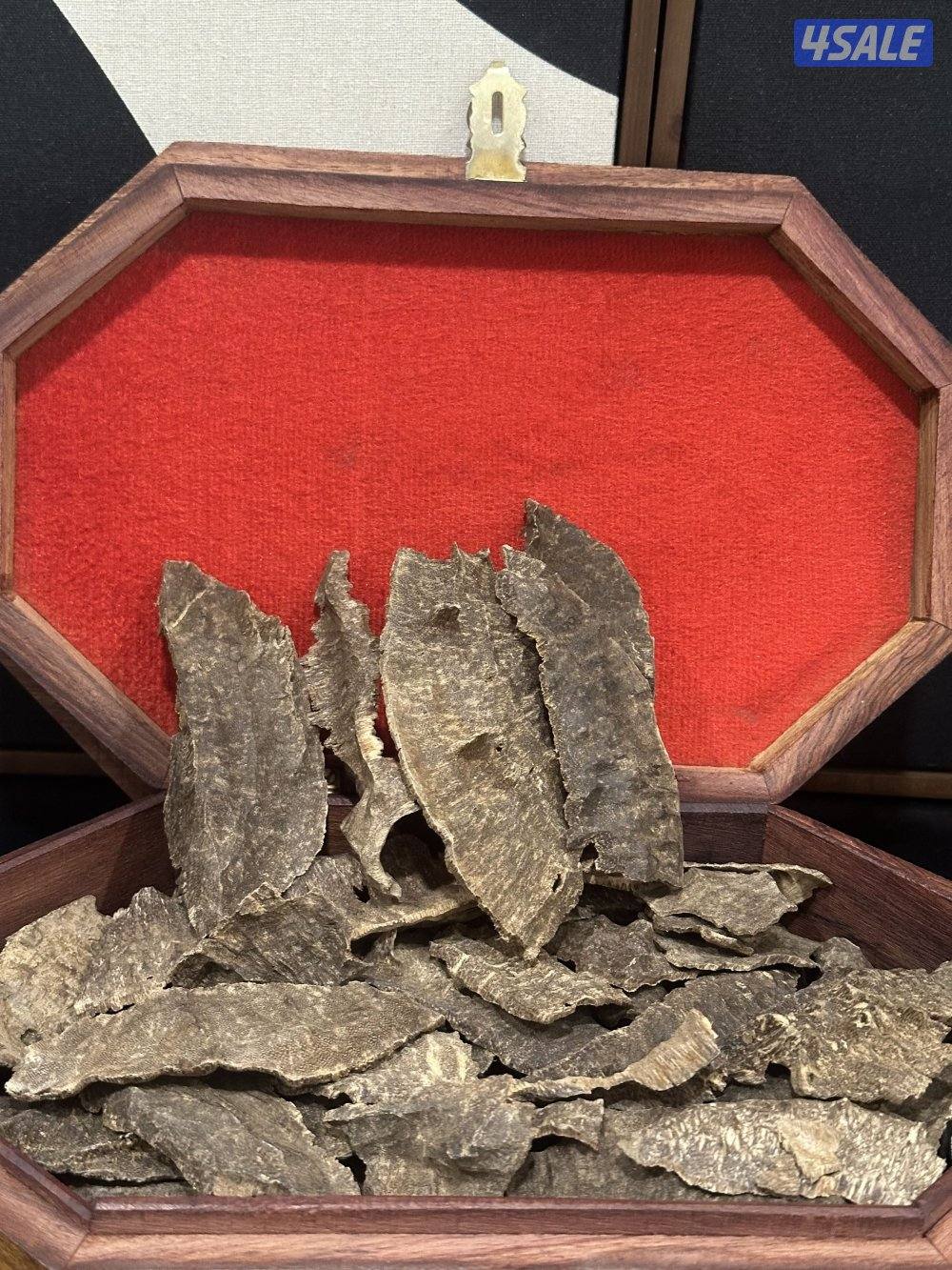 عود ماليزي و عود جار قاروهيلز0