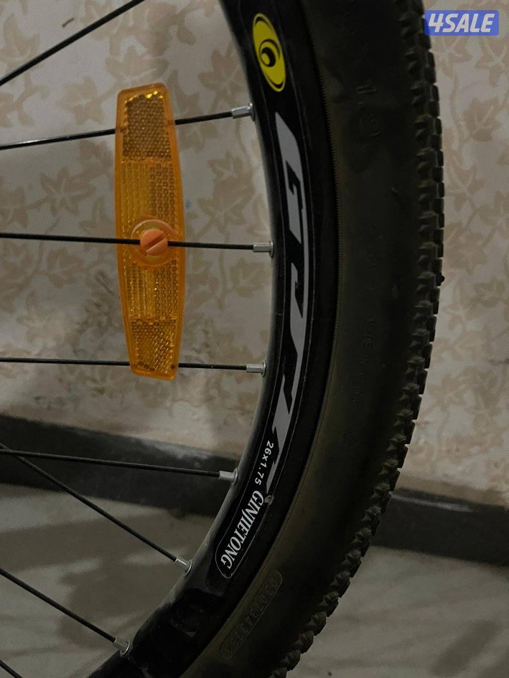 البيع قاري Sport Italia4