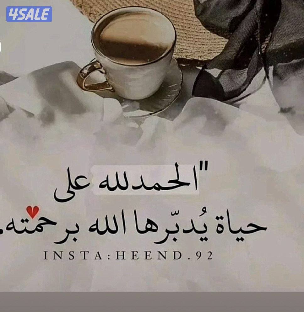 للايجار شقه في العقيله ٣غرف0