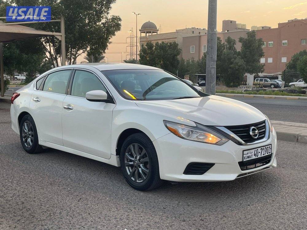 التيما ٢٠١٧7