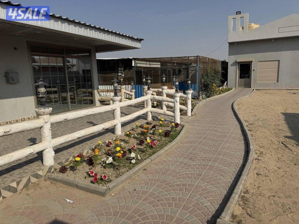 للإيجار جاخور شهري3