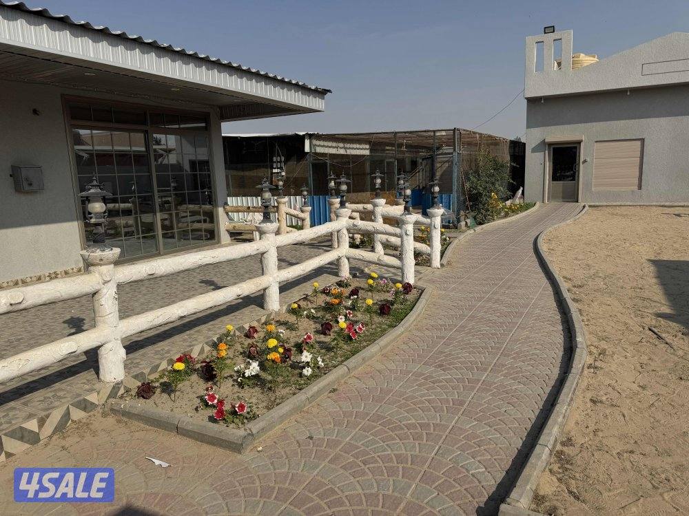 للإيجار جاخور شهري4