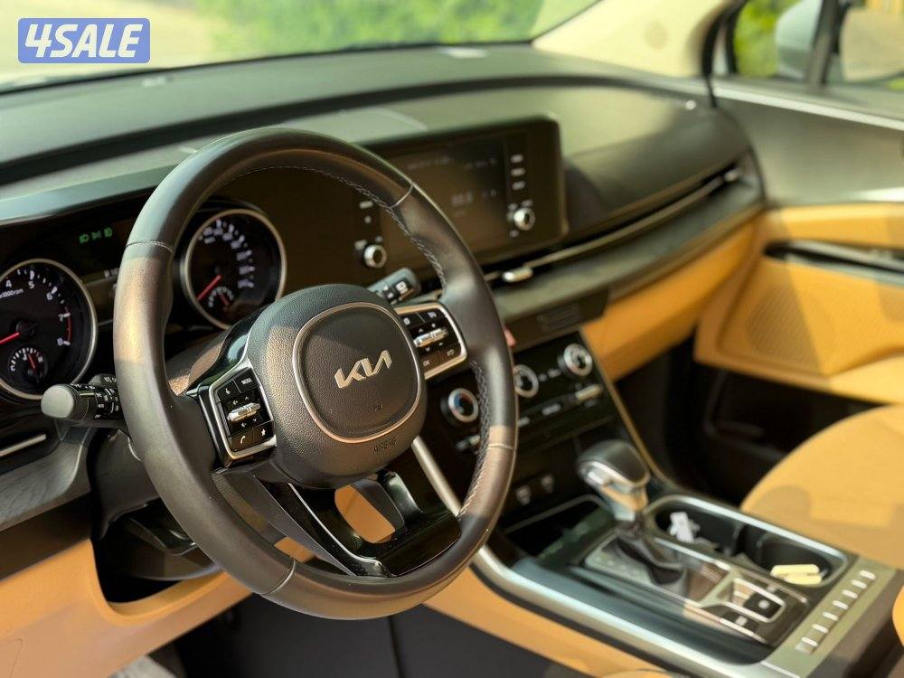 2023 صبغ الوكالة سيرفس منتظم1