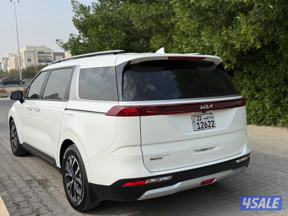 2023 صبغ الوكالة سيرفس منتظم3