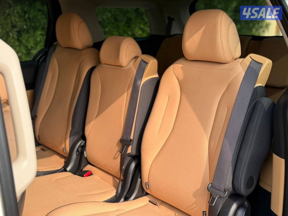 2023 صبغ الوكالة سيرفس منتظم5