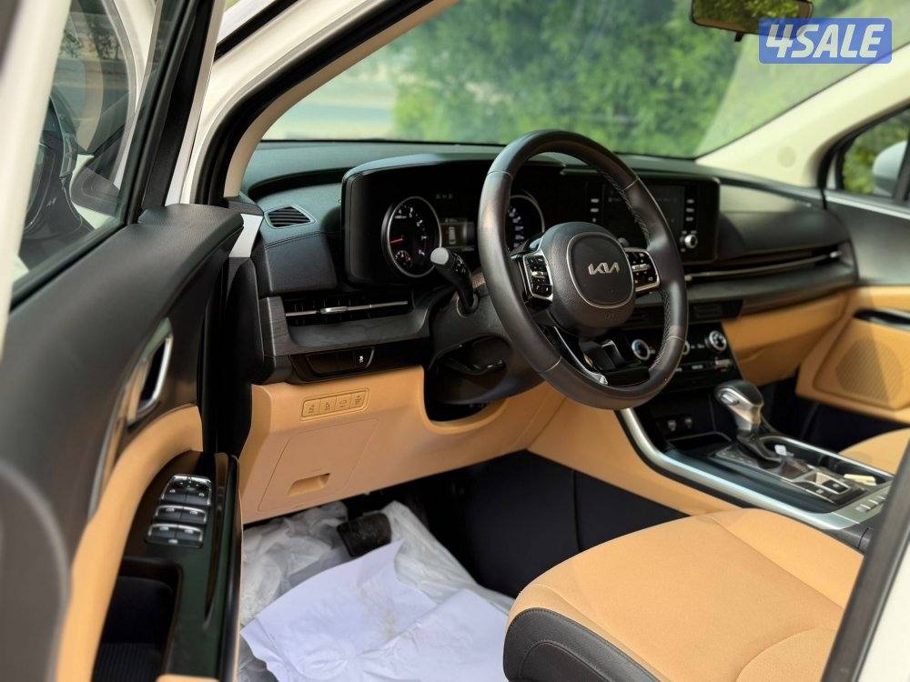 2023 صبغ الوكالة سيرفس منتظم6