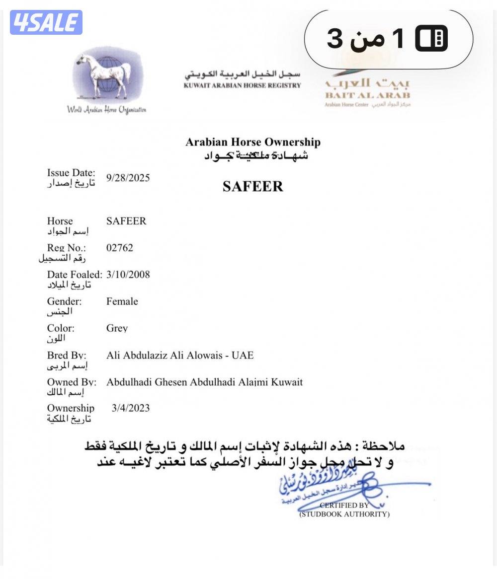 للبيع فرس فرنسيه4