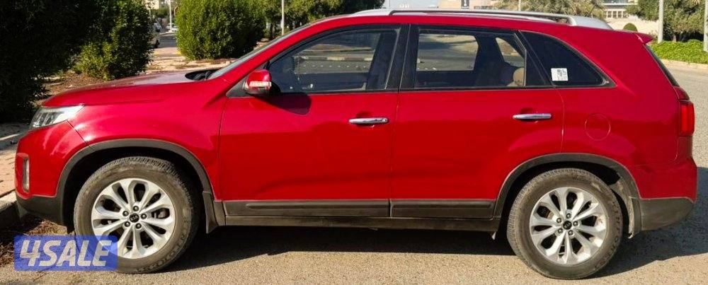 بجوار قصر سلوي1