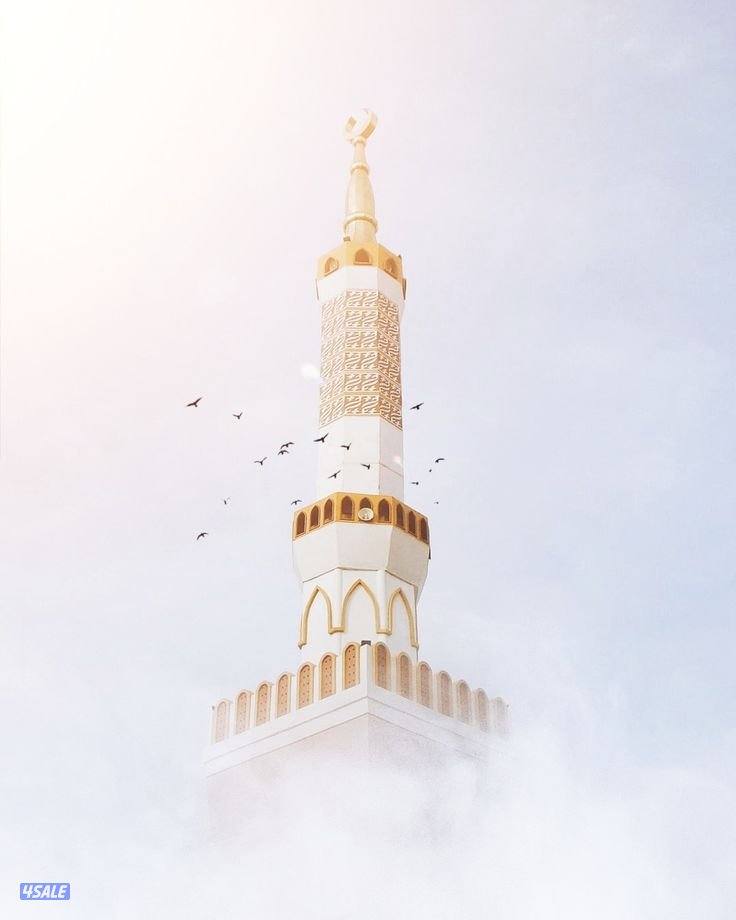 ابحث عن عمل أمين صندوق او مندوب مبيعات0