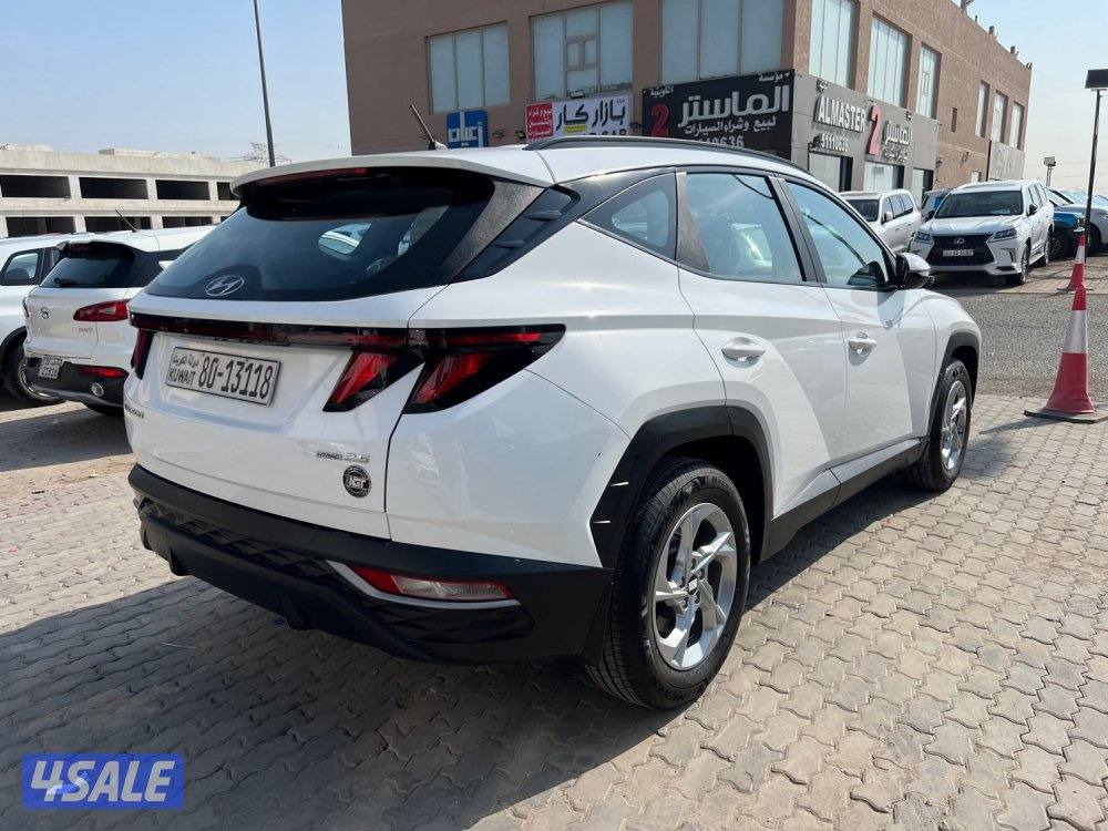 عداد 400 كيلو فقط صبغ الوكالة2