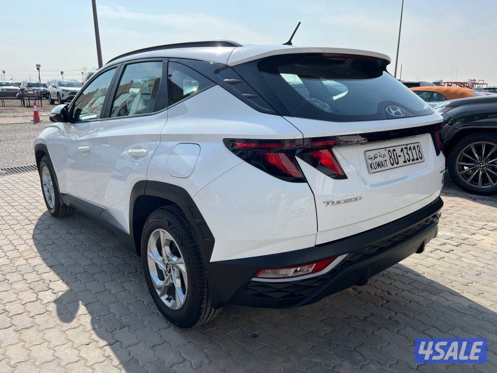 عداد 400 كيلو فقط صبغ الوكالة3