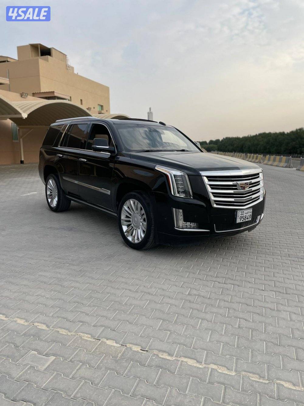 سكلد موديل 2019 بلاتينيوم1