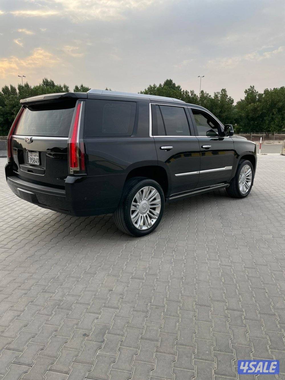 سكلد موديل 2019 بلاتينيوم2