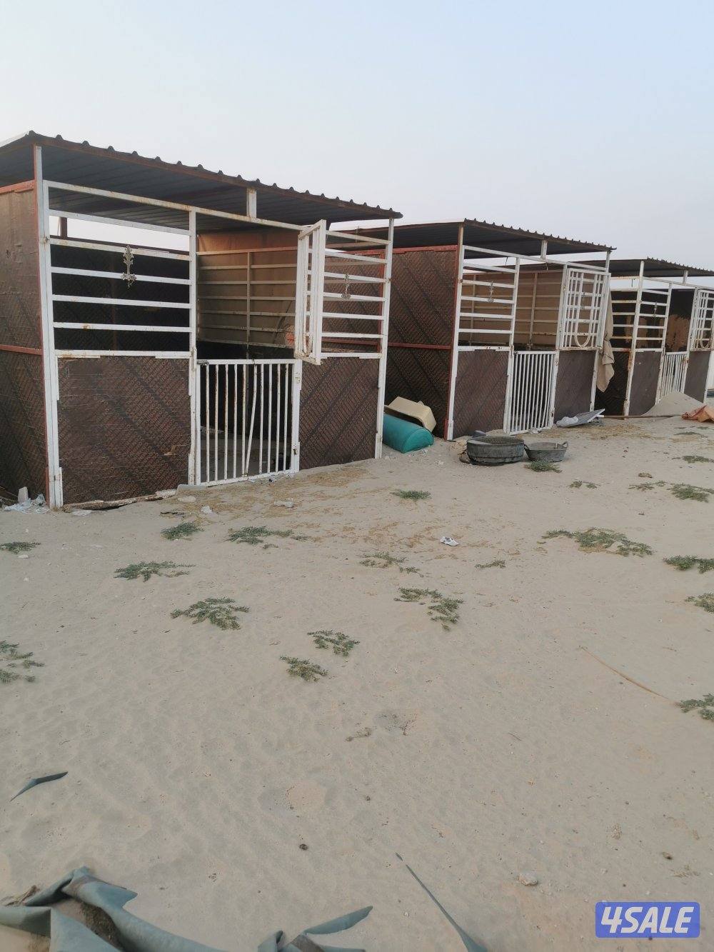 بناجر و مغاسل مستعملة للخيل1