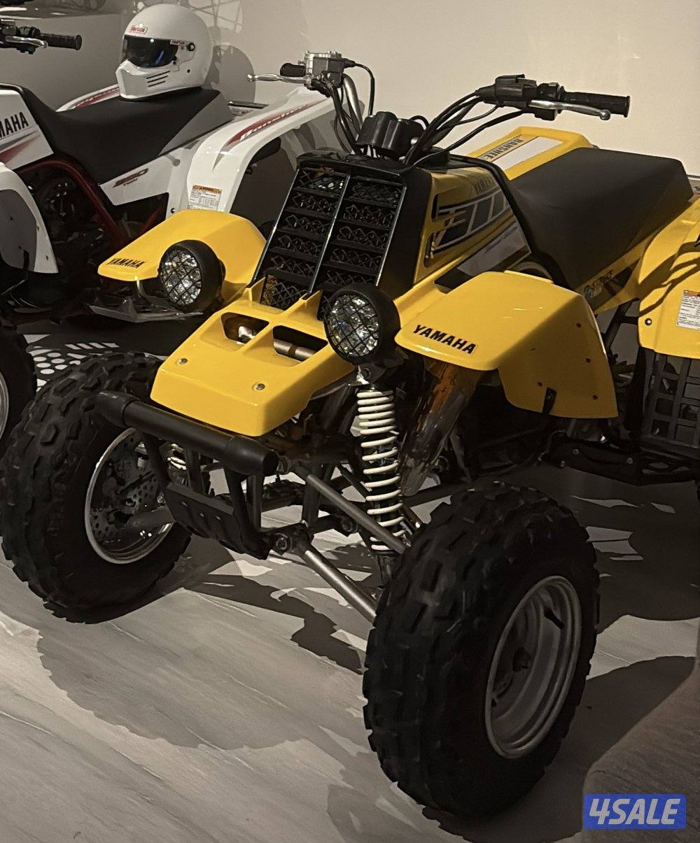 Banshee 2006 50th anniversary0