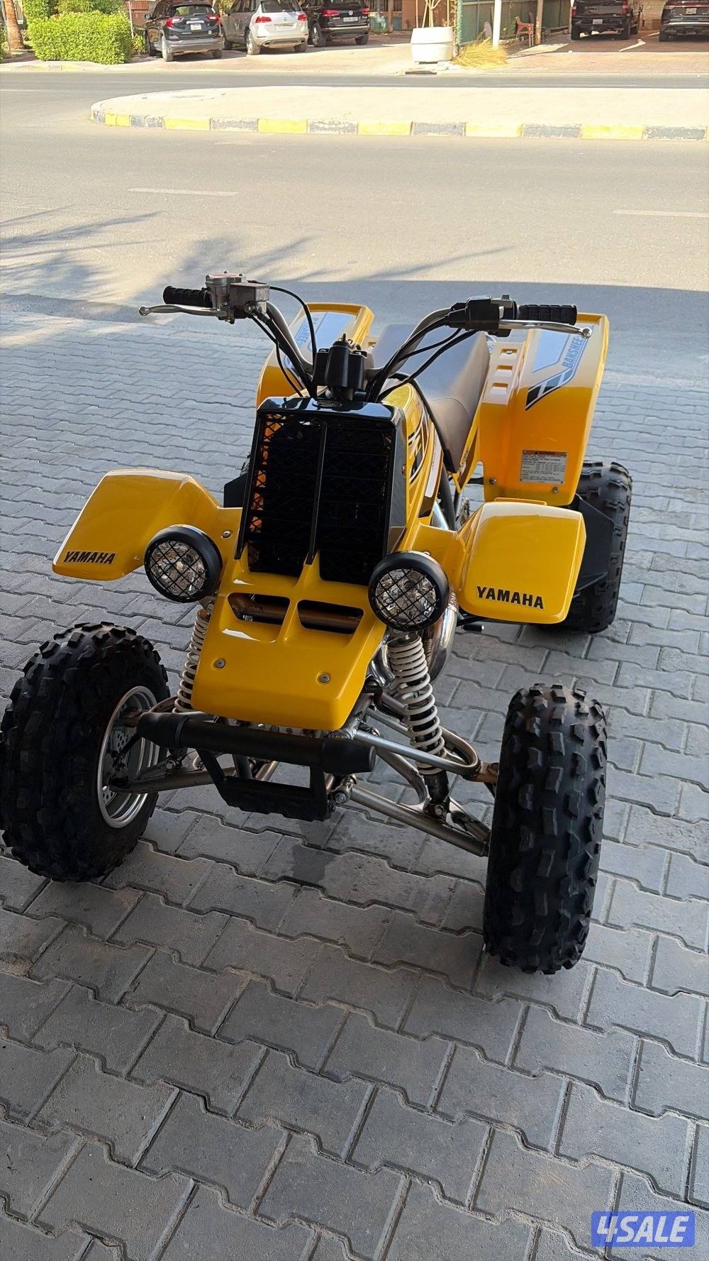 Banshee 2006 50th anniversary1