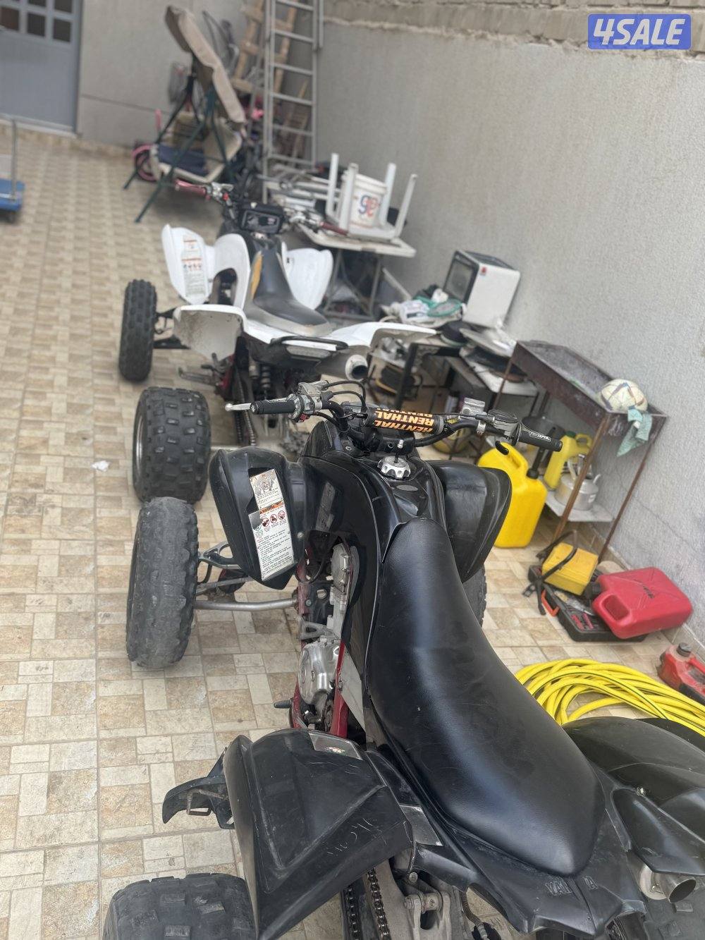 رابتر عدد 31