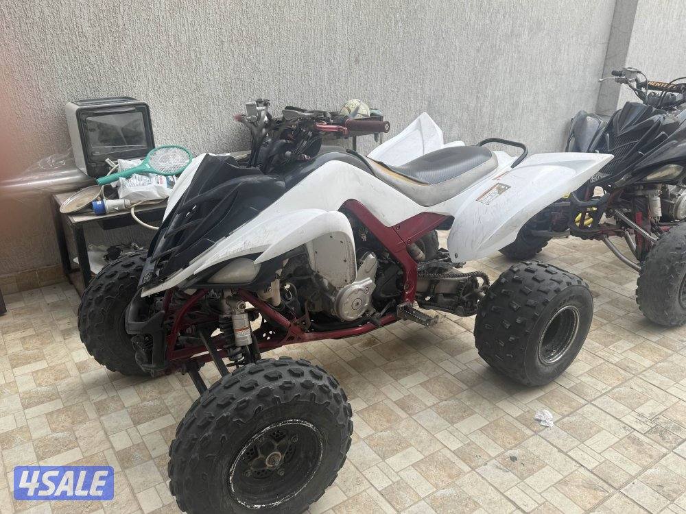 رابتر عدد 32