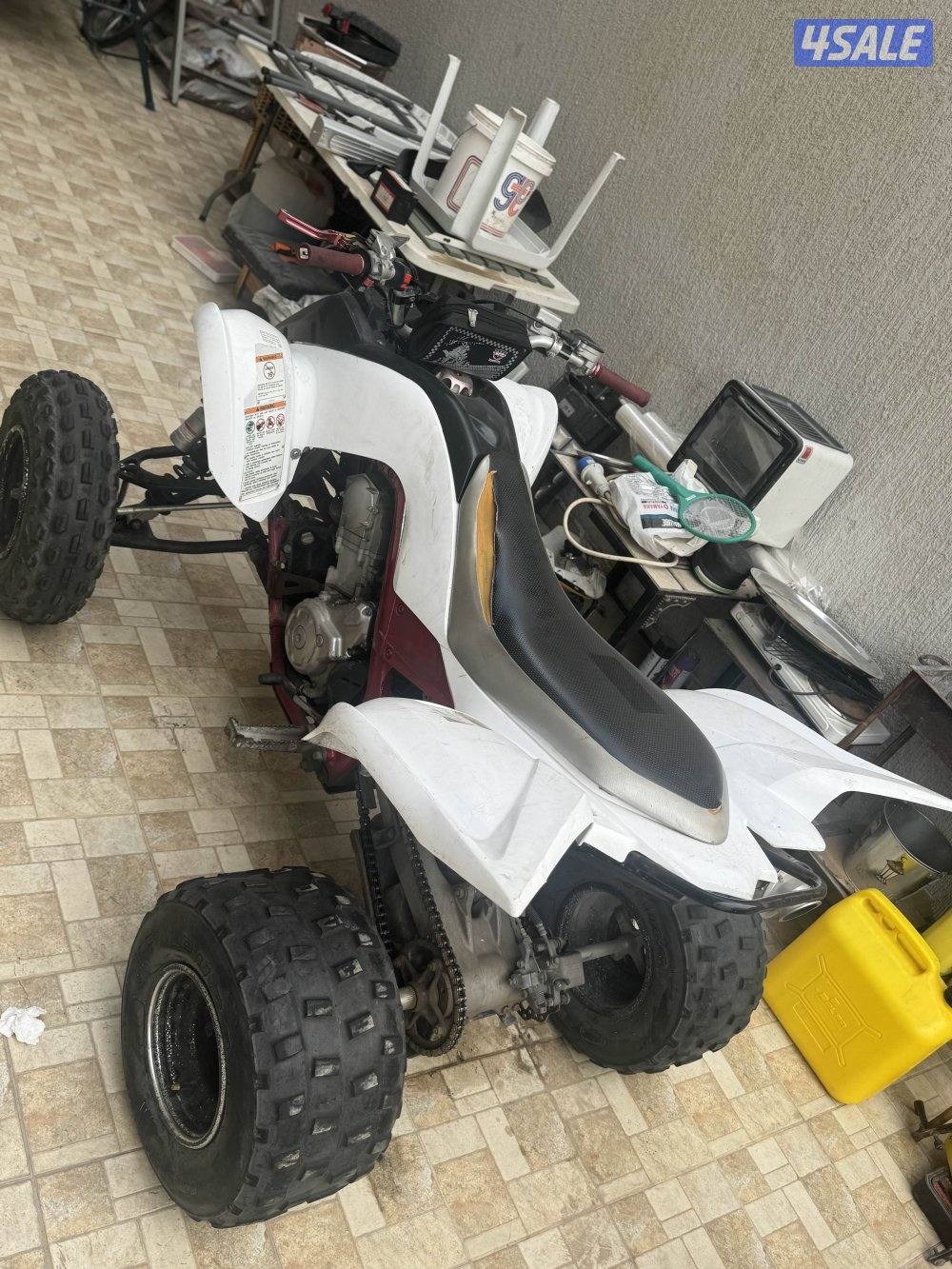 رابتر عدد 33