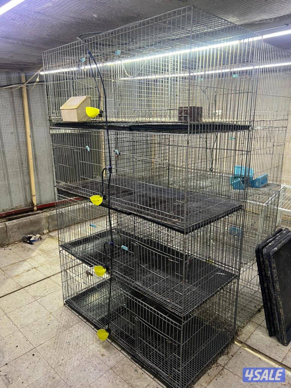 للبيع خانات ام 8 مستعمل3