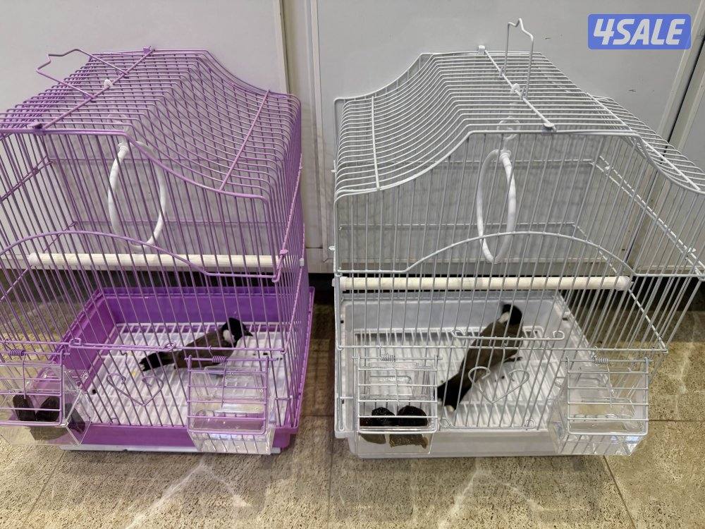 للبيع بلابل0