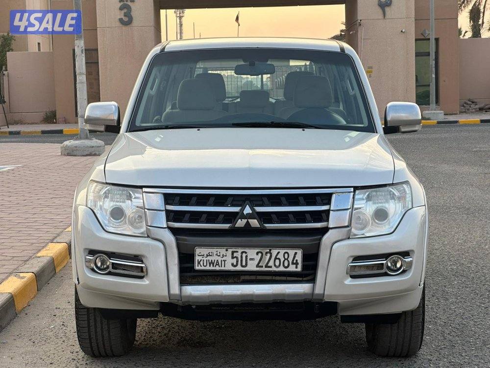 باجيرو / 20173