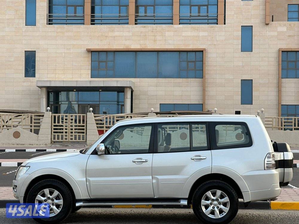 باجيرو / 20172