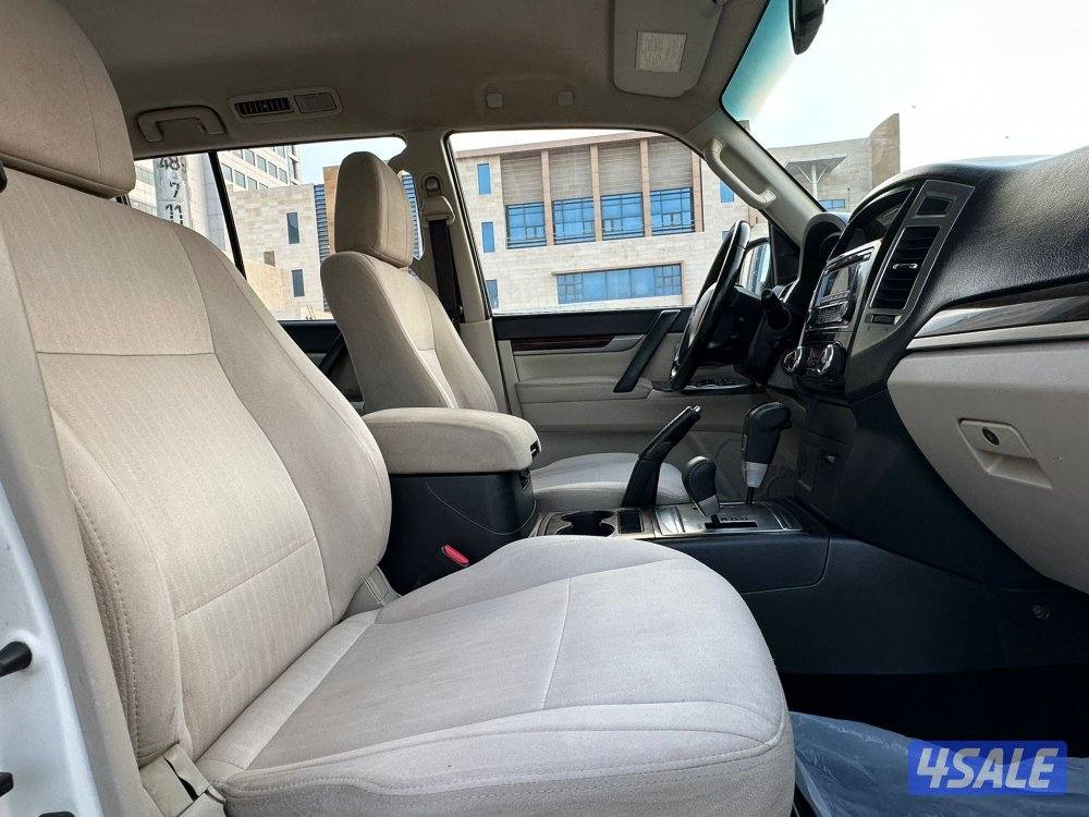 باجيرو / 20178