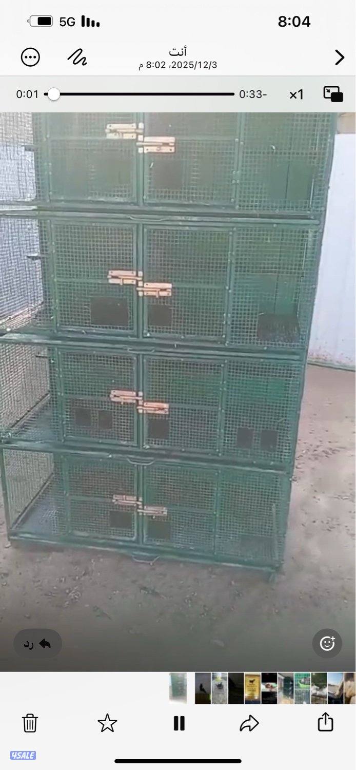 10 خانات ام 8 تفريد في ام تواير وفي بعضهم خربانات مع معالفهم0