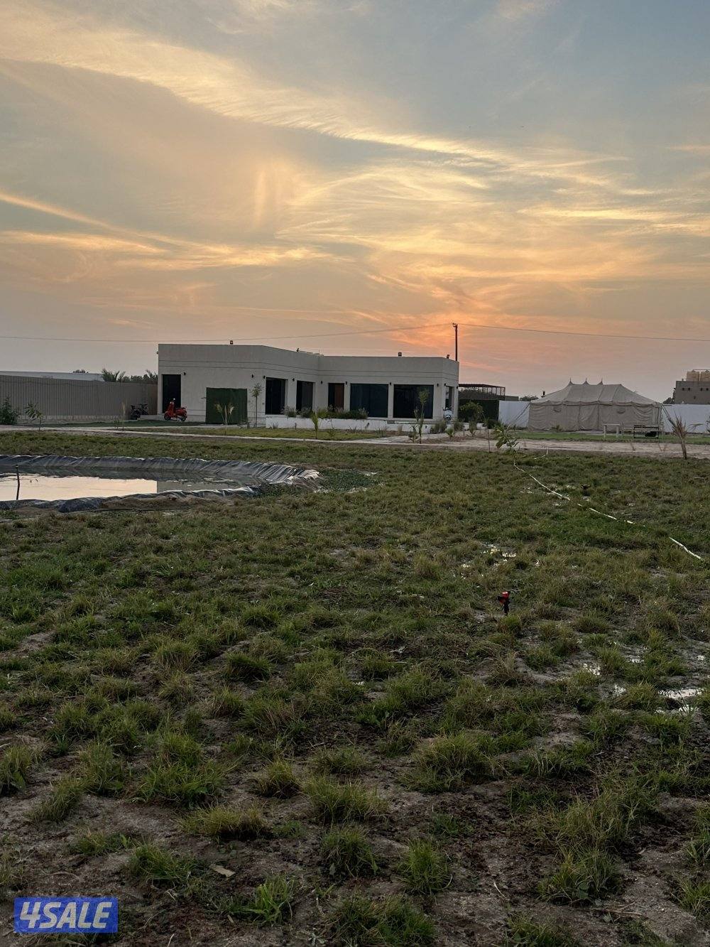 مزرعه بالوفره عوايل1