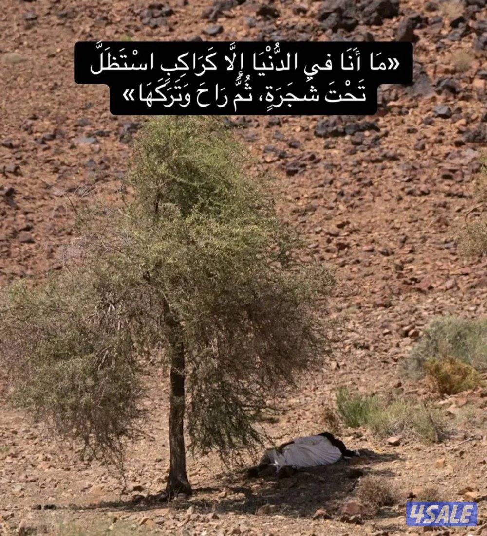 محاسب خبره ١٠ سنوات0