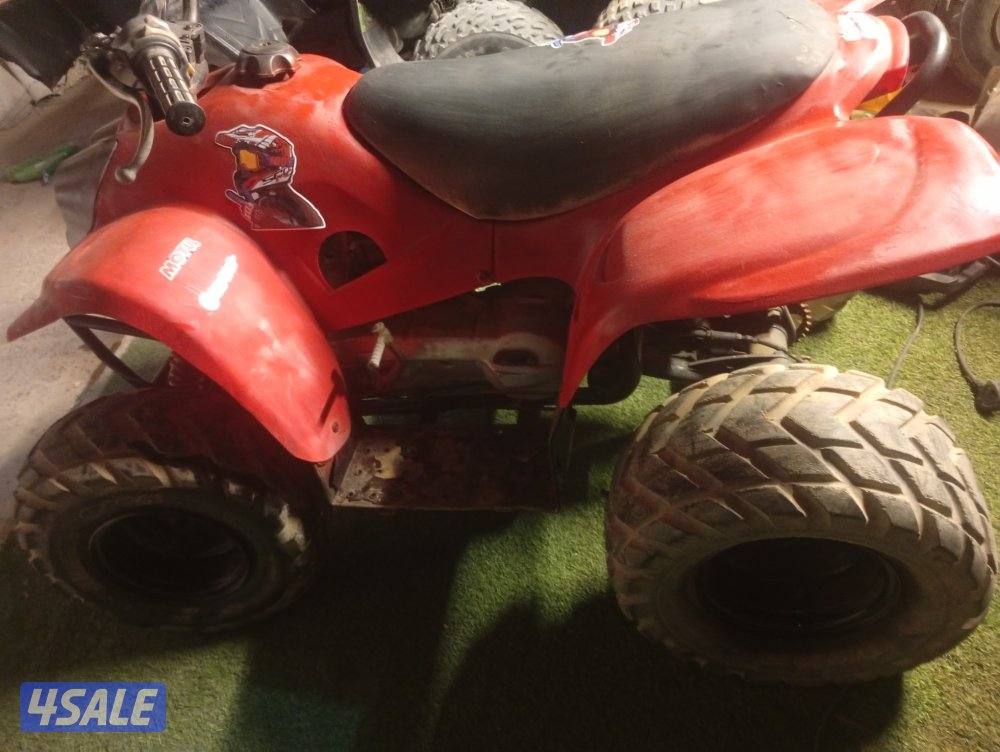 بقي حجم ١٠٠ تايواني1