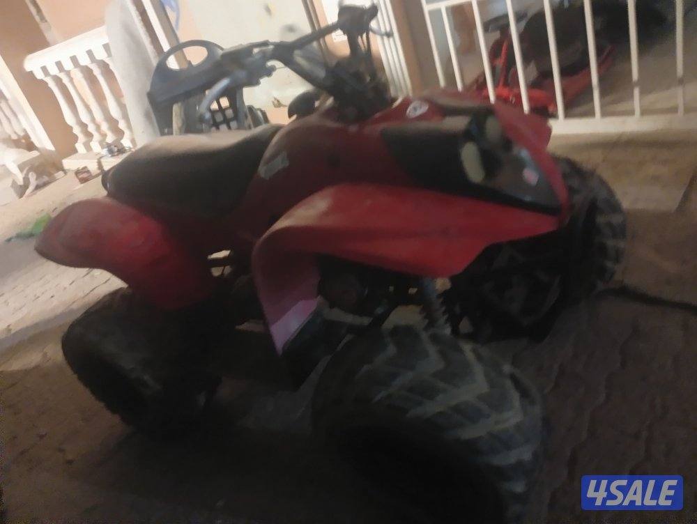 بقي حجم ١٠٠ تايواني2