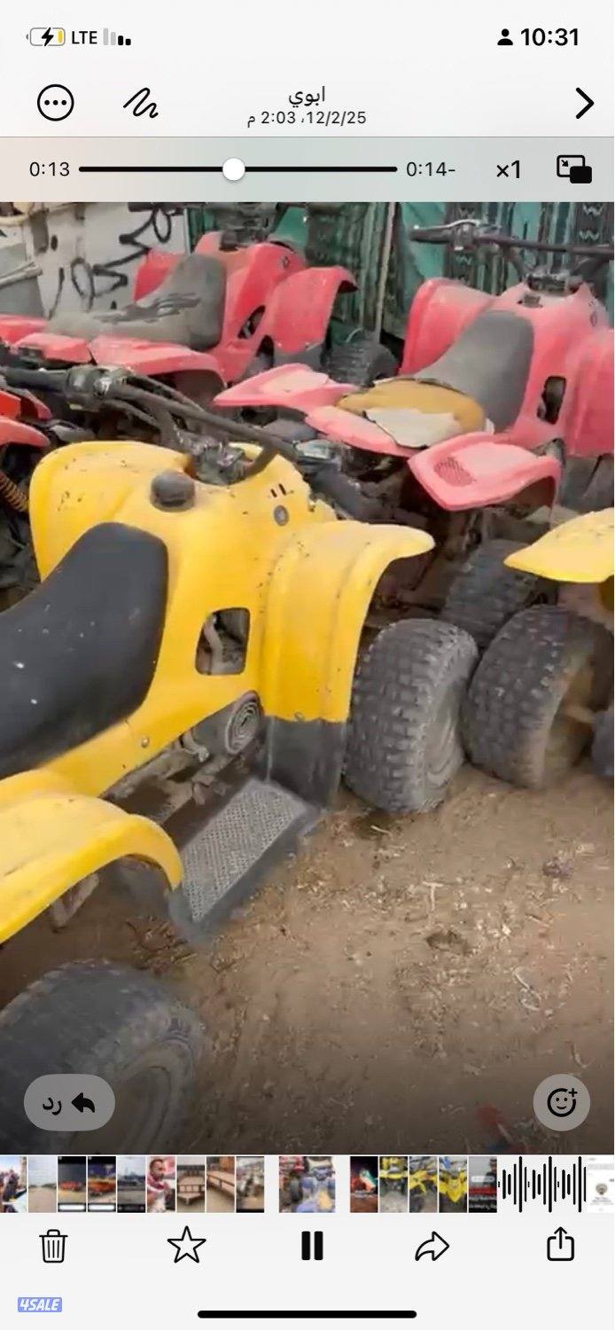 للبييع بقيات جمله او مفرد احجم مختالفه