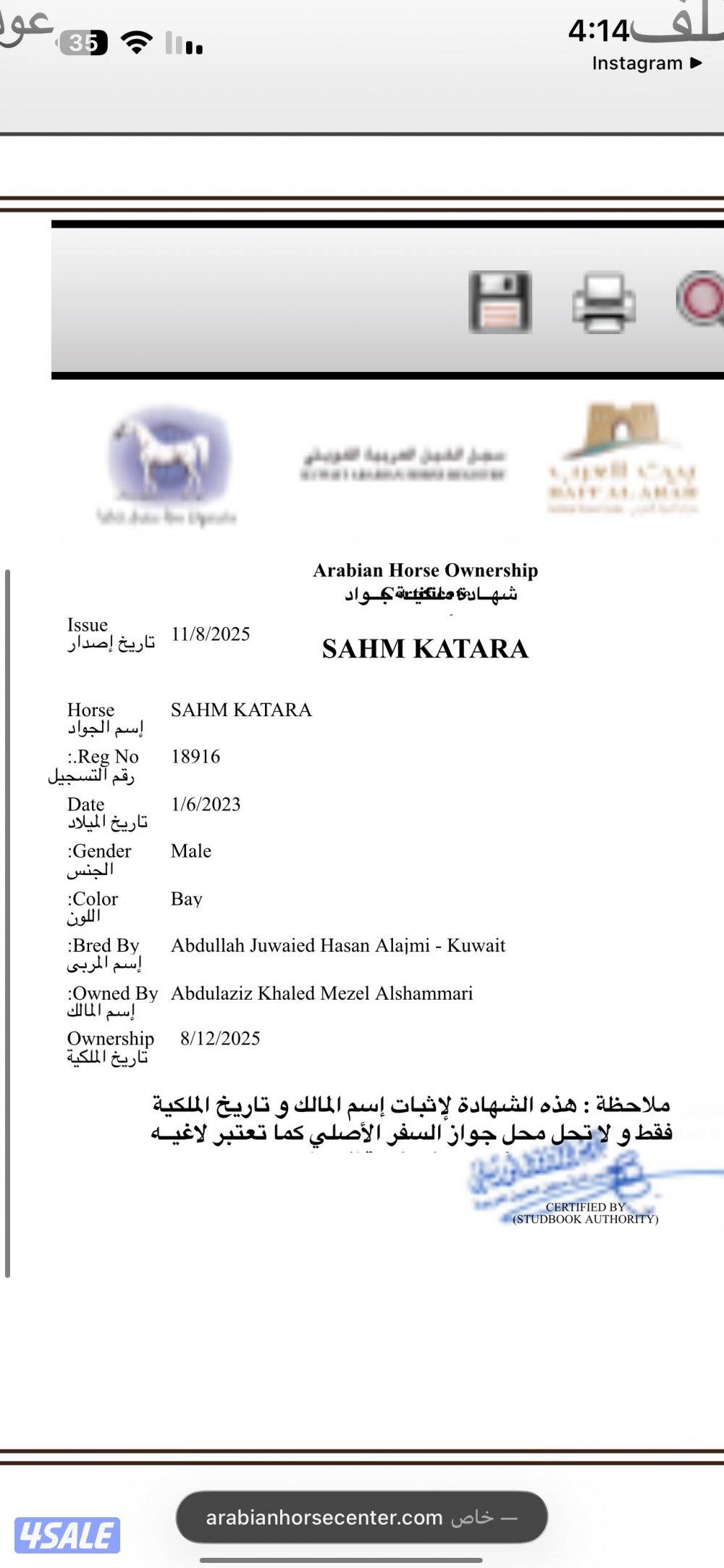 كبد كبد كبد2