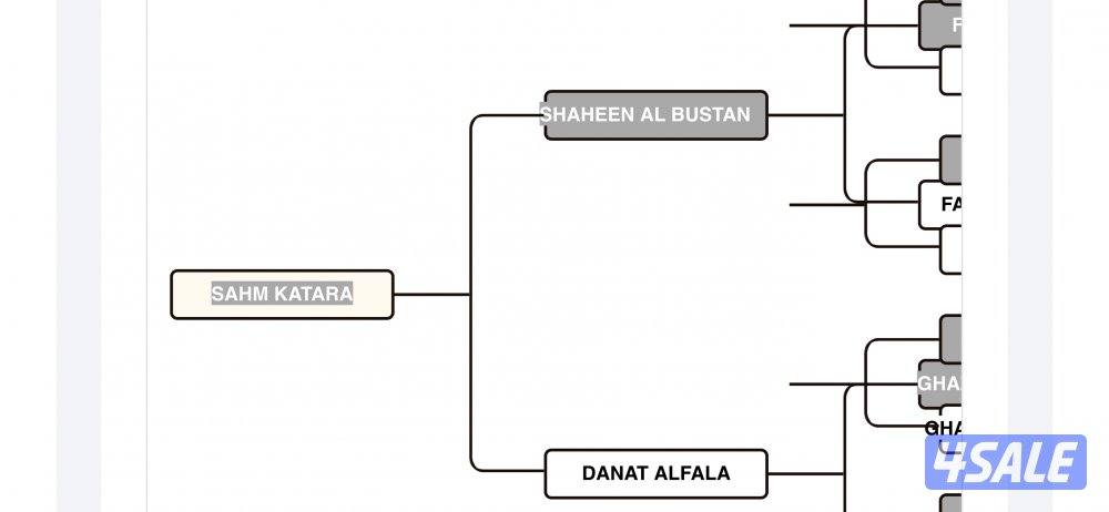 كبد كبد كبد3