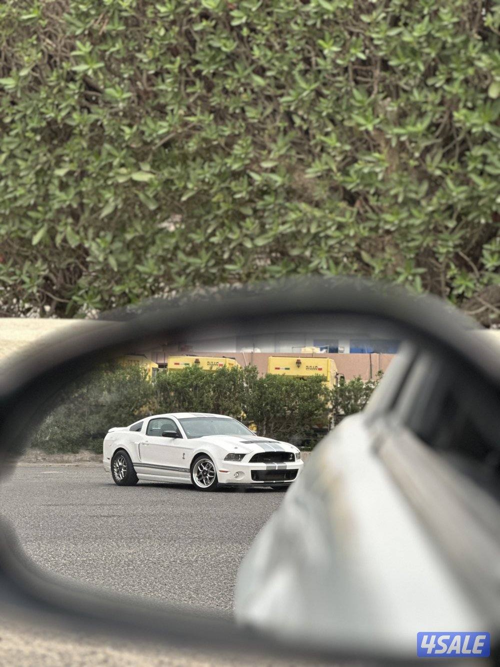 الله يبارك شلبي GT500 🐍🏁3