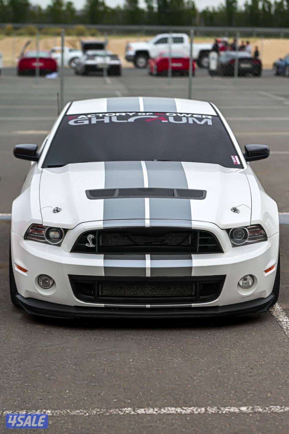 الله يبارك شلبي GT500 🐍🏁5