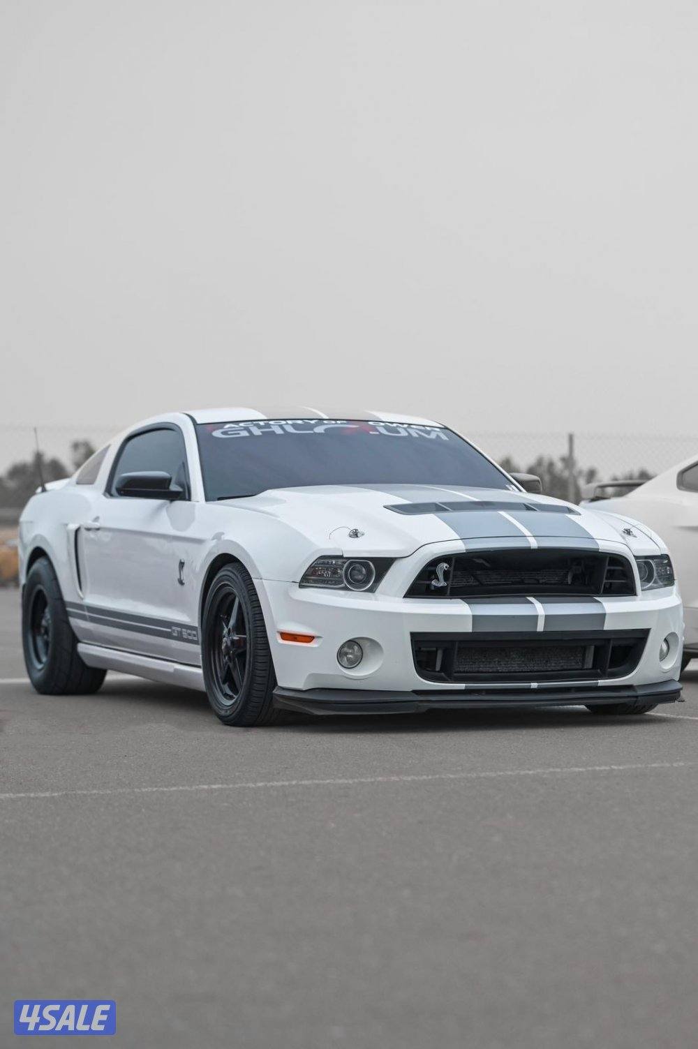 الله يبارك شلبي GT500 🐍🏁7