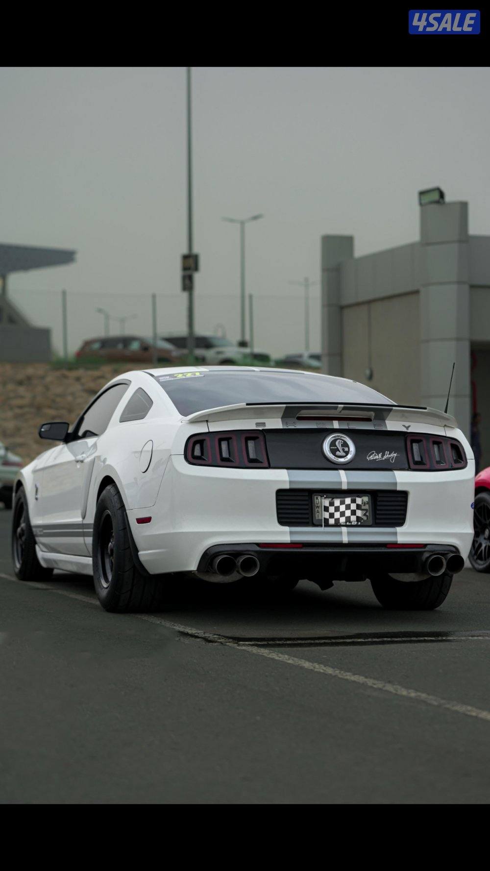 الله يبارك شلبي GT500 🐍🏁8