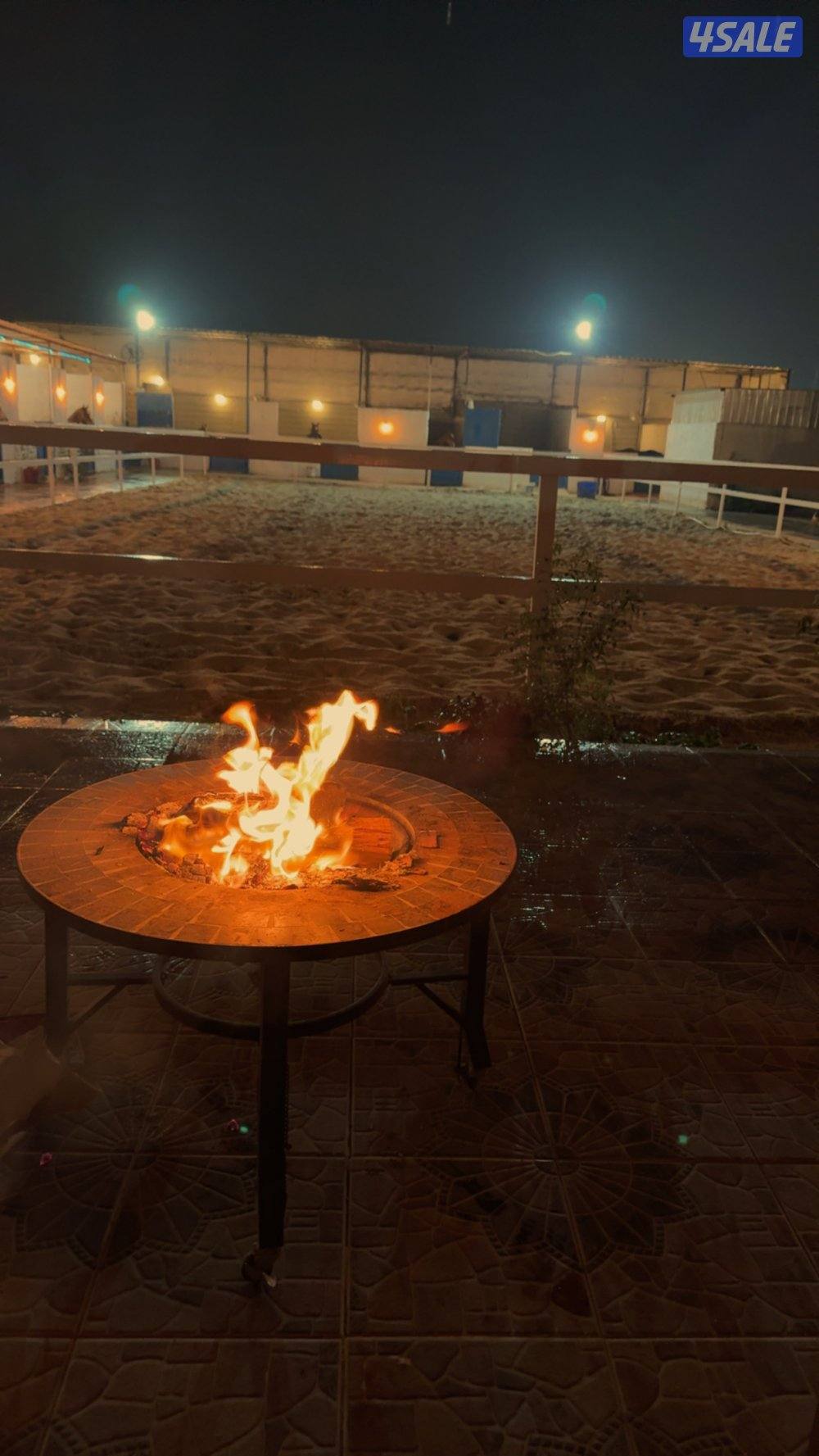 مربط خيل وتدريب وعساف وخباب وتعليم اساسيات الركوب تحت اشراف مدرب3