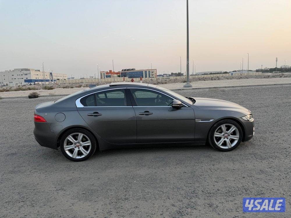 جاكور 2018 الفل XE عداد 934