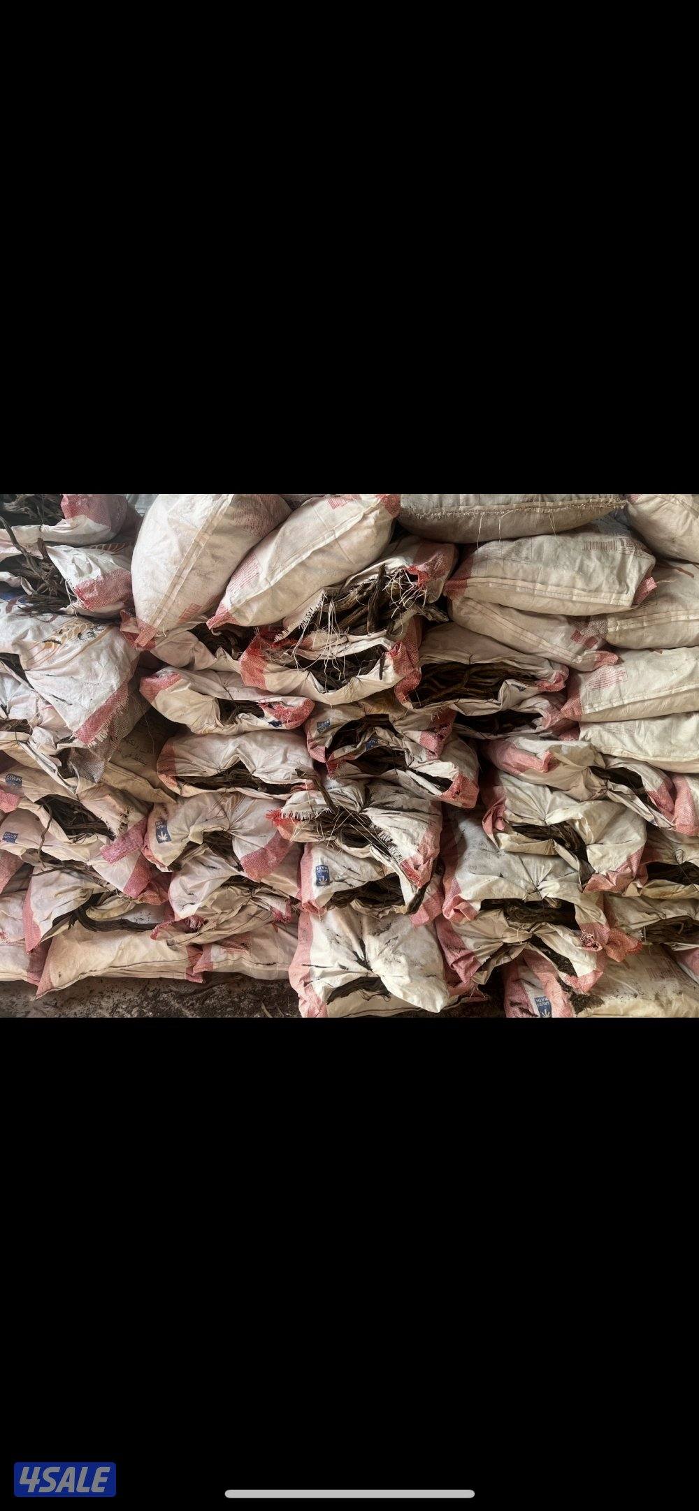 للبيع جميع انواع الحطب السعودي والفحم الافريقي والفيتنامي0