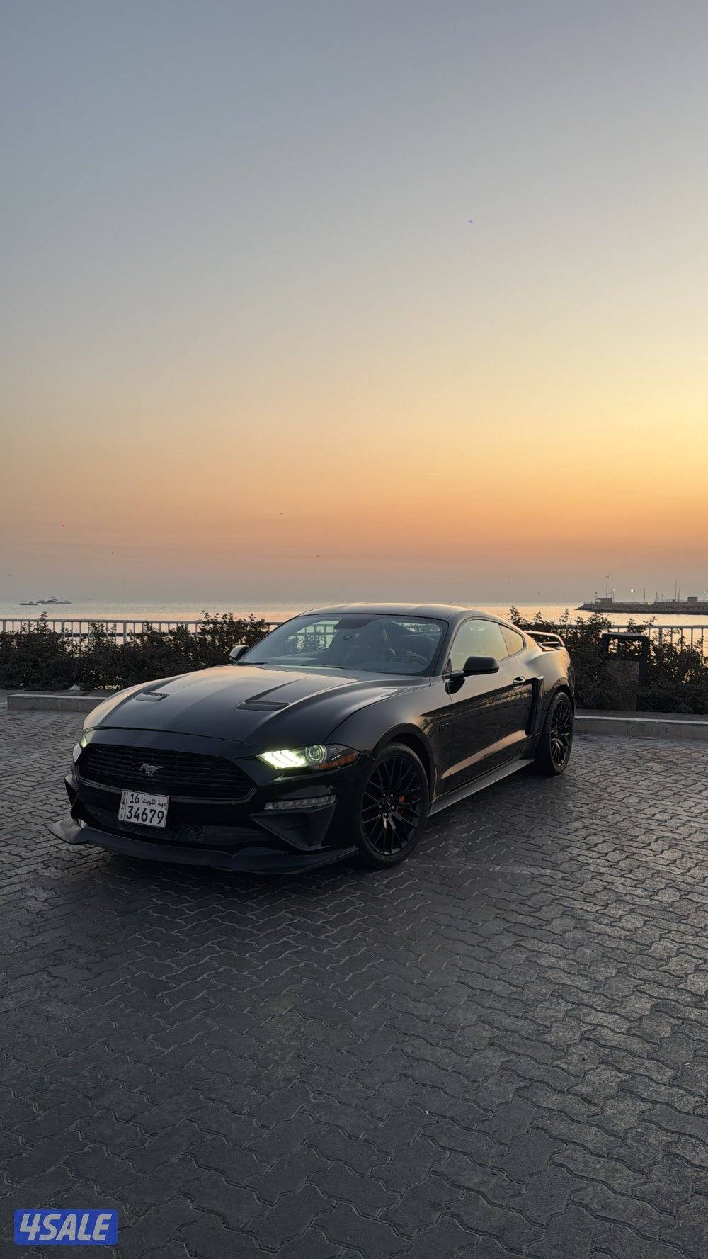 للبيع موستنق1