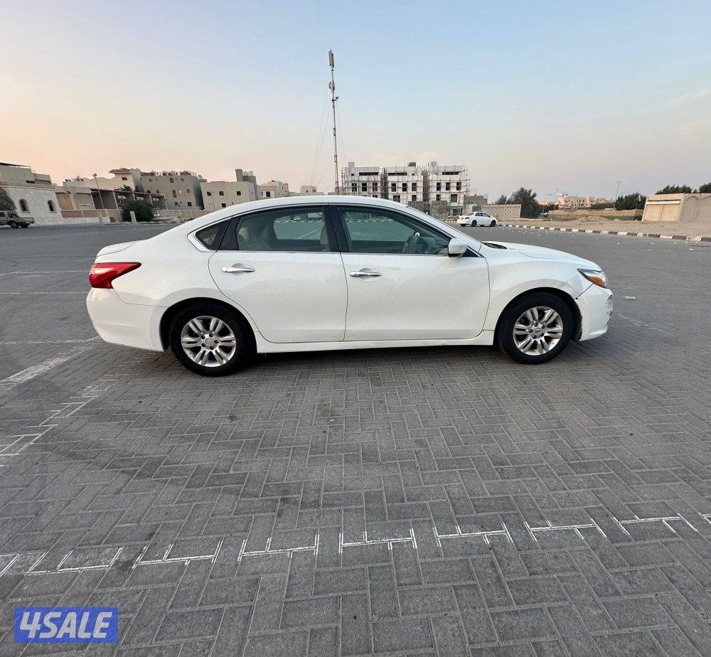 التيما ٢٠١٧1