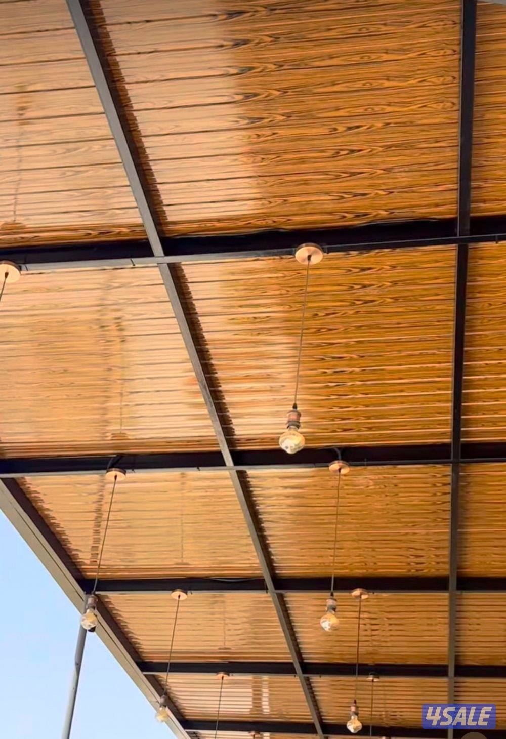 هندى على حداد4