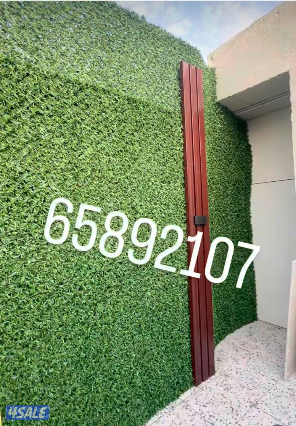 هندى على حداد11