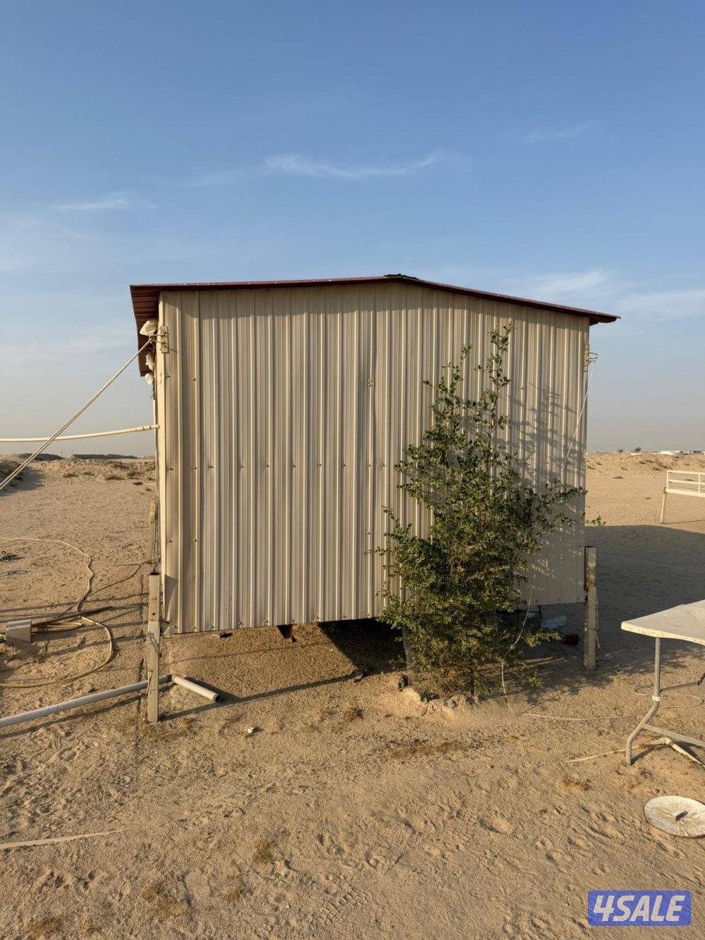 البيع  جبره1