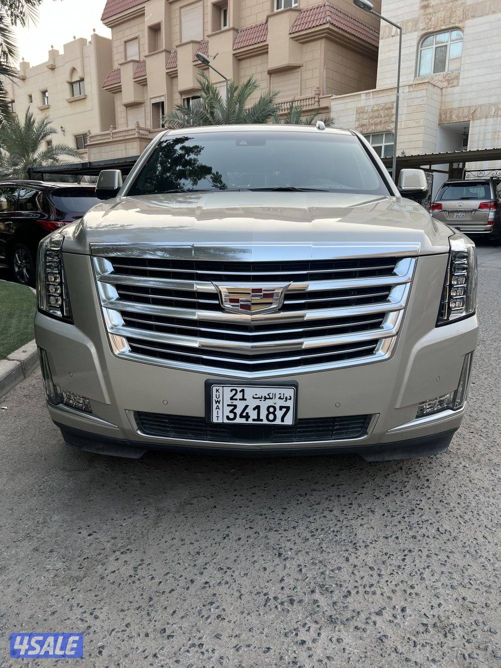 بلاتنيوم صبغ وكاله شرط الفحص1